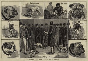 Notas en la exposición de perros Bulldog